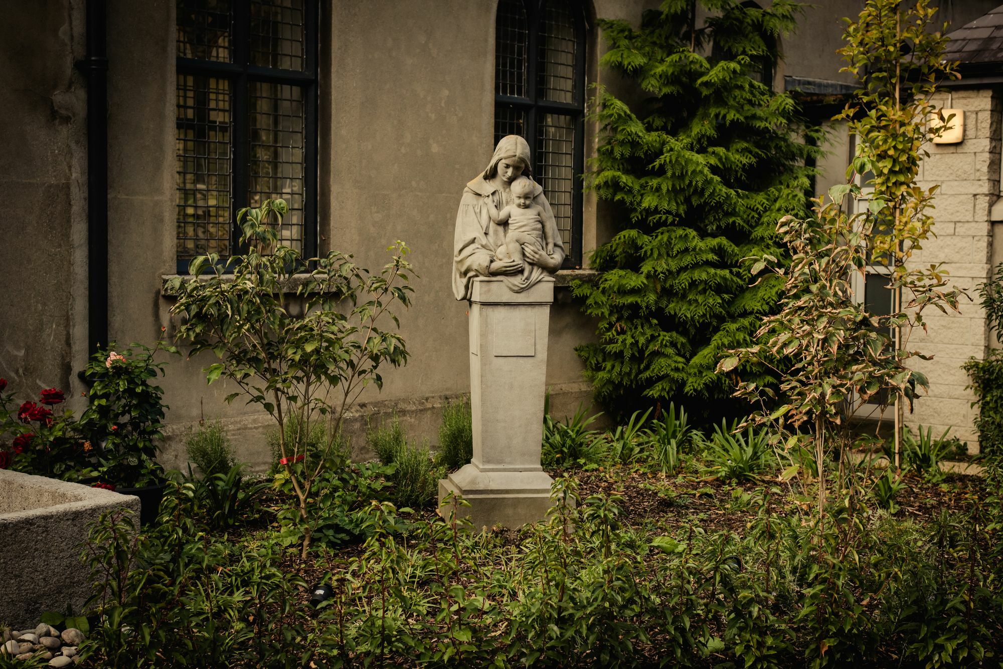Dcu Rooms All Hallows Dublin Exterior photo